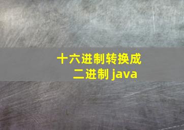 十六进制转换成二进制 java